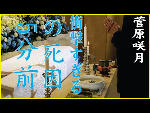 菅原咲月の現在、今現在の様子がヤバすぎる・・・
