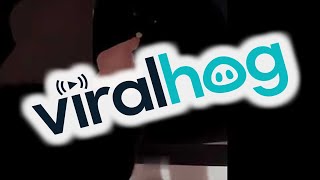 My Chair Loves Treats || ViralHog