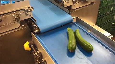 squash packing machine smartweighpack linear combination weigher