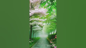 أم تأمرهم أحلامهم بهذا بل هم قوم طاغون // سورة الطور ||الشيخ مصطفى شريف #اكسبلور #شيوخ #لايك #أحسن #