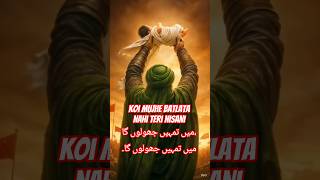 Jhula Jhulau Main Tujhe | Heart Touching Noha 2026 | AK blogs #ytshorts #noha #karbala