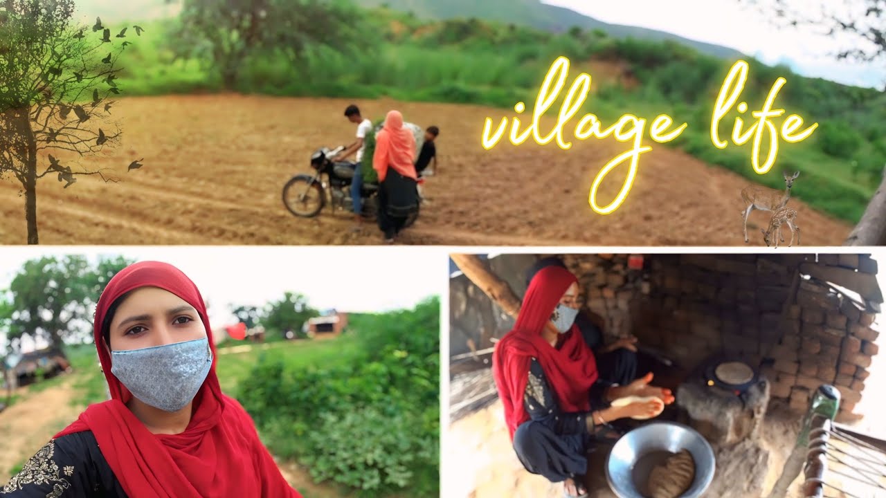 Mewati Village Life Desi रहन-सहन daily vlog 🛖