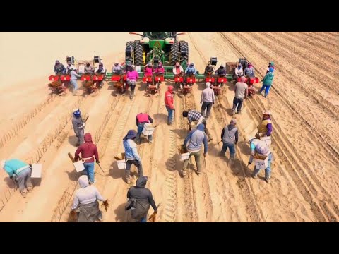 वीडियो: संयुक्त राज्य अमेरिका में आज कितने कृषि काम कर रहे हैं?