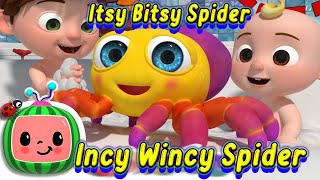 Itsy Bitsy Spider Incy Wincy Spider Cocomelon Nursery Rhymes & Kids Songs Cocomelon51