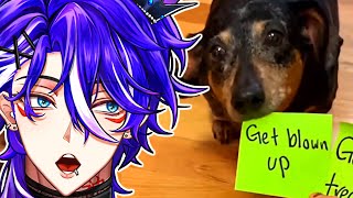 VTuber RiiKami Reacts to Unusual Memes | 2