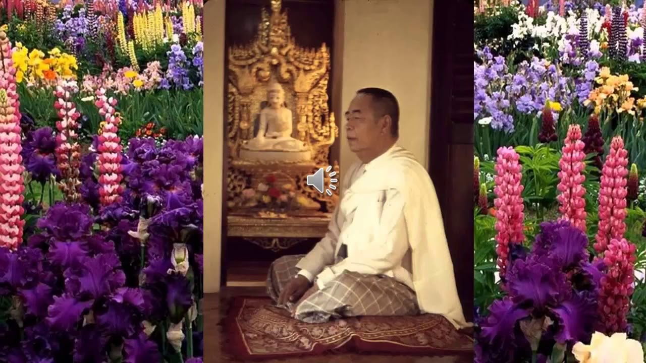 Sayagyi U Ba Khin Tikapatthana Chanting