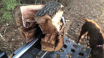 Dirty Hand Tools 30 ton 4 way log splitter