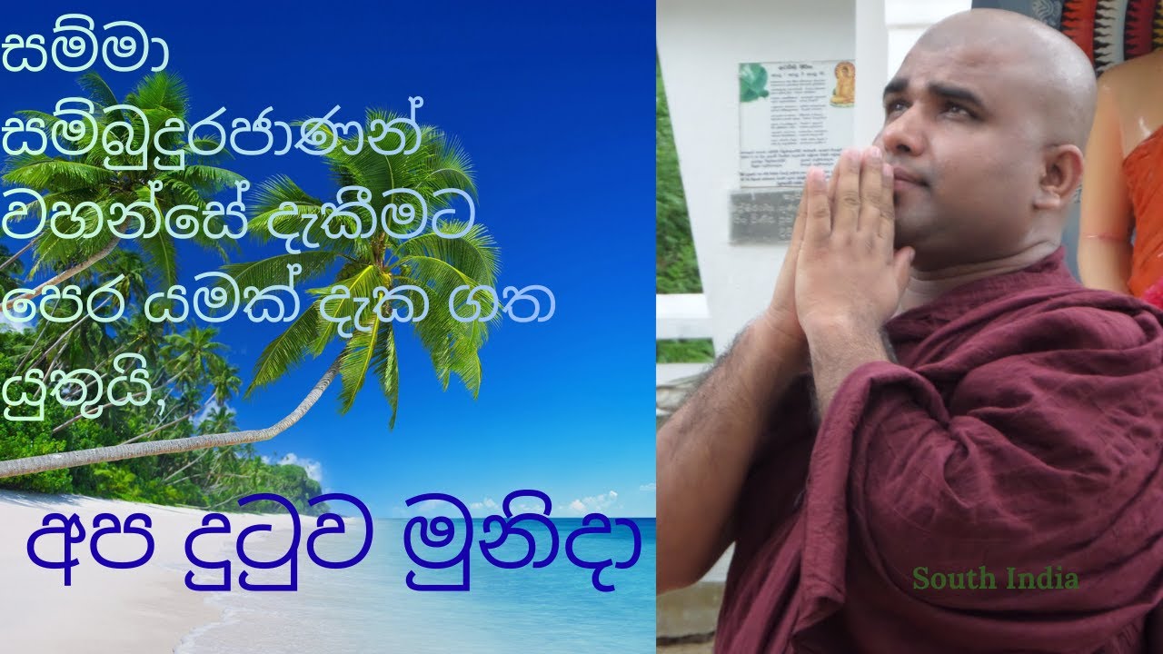 අප දුටුව මුනිදා 24 /2025.12,25 Ambilipitiye Ananda Thero teaches how to be free from your sufferings