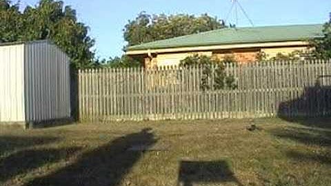 Trex 450 nose in hover