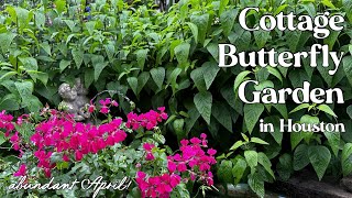 April 24, 2023 Cottage Butterfly Garden Tour in Houston Texas zone 9a @JosTXGarden