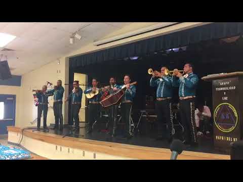 Mariachi De Mi Tierra West Palm Beach You Mariachi De Mi Tierra West Palm Beach