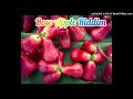 Rose Apple Riddim Mix Jamaica + Español