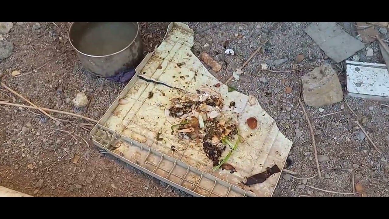 لاتنسونه من الايك والاشتراك  عندي وز البيع و 4 بطوط 