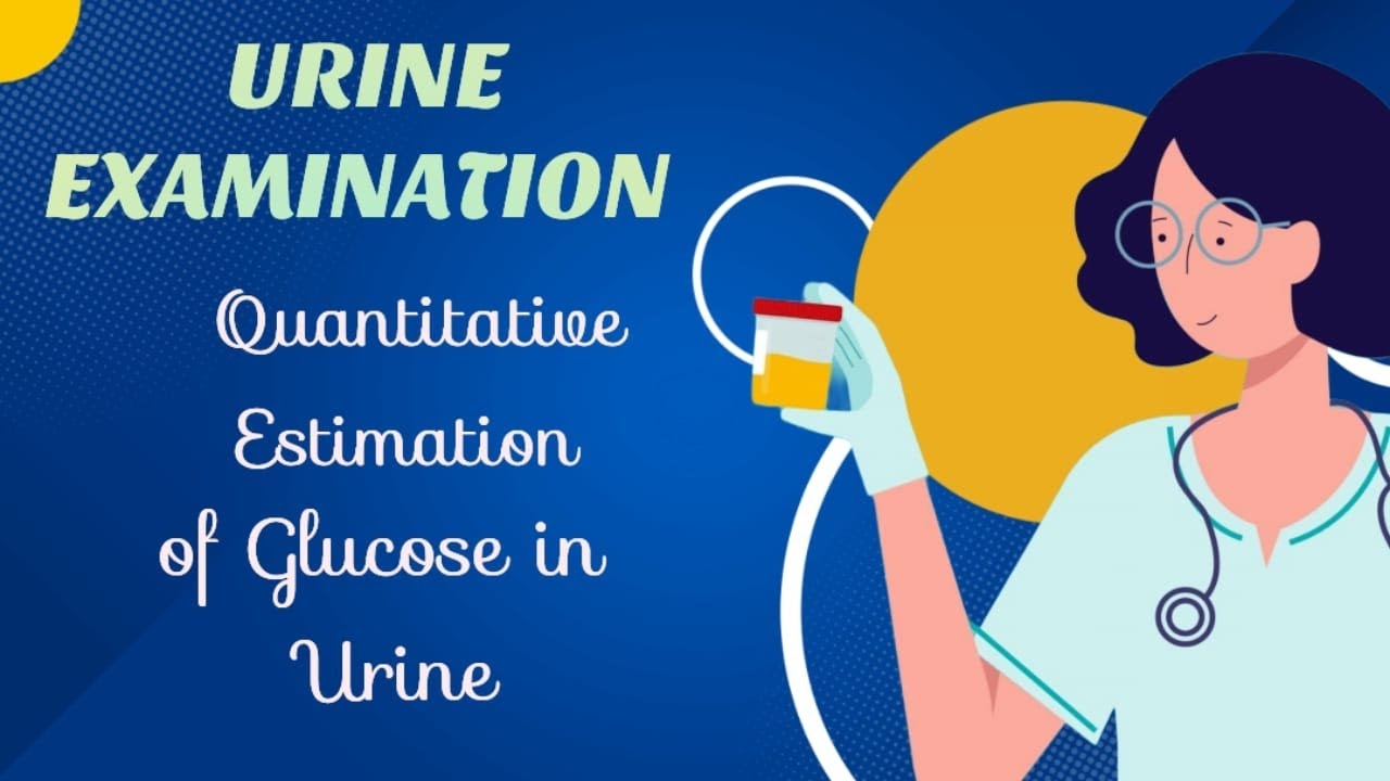 Urine Examination Quantitative Estimation of Glucose in Urine