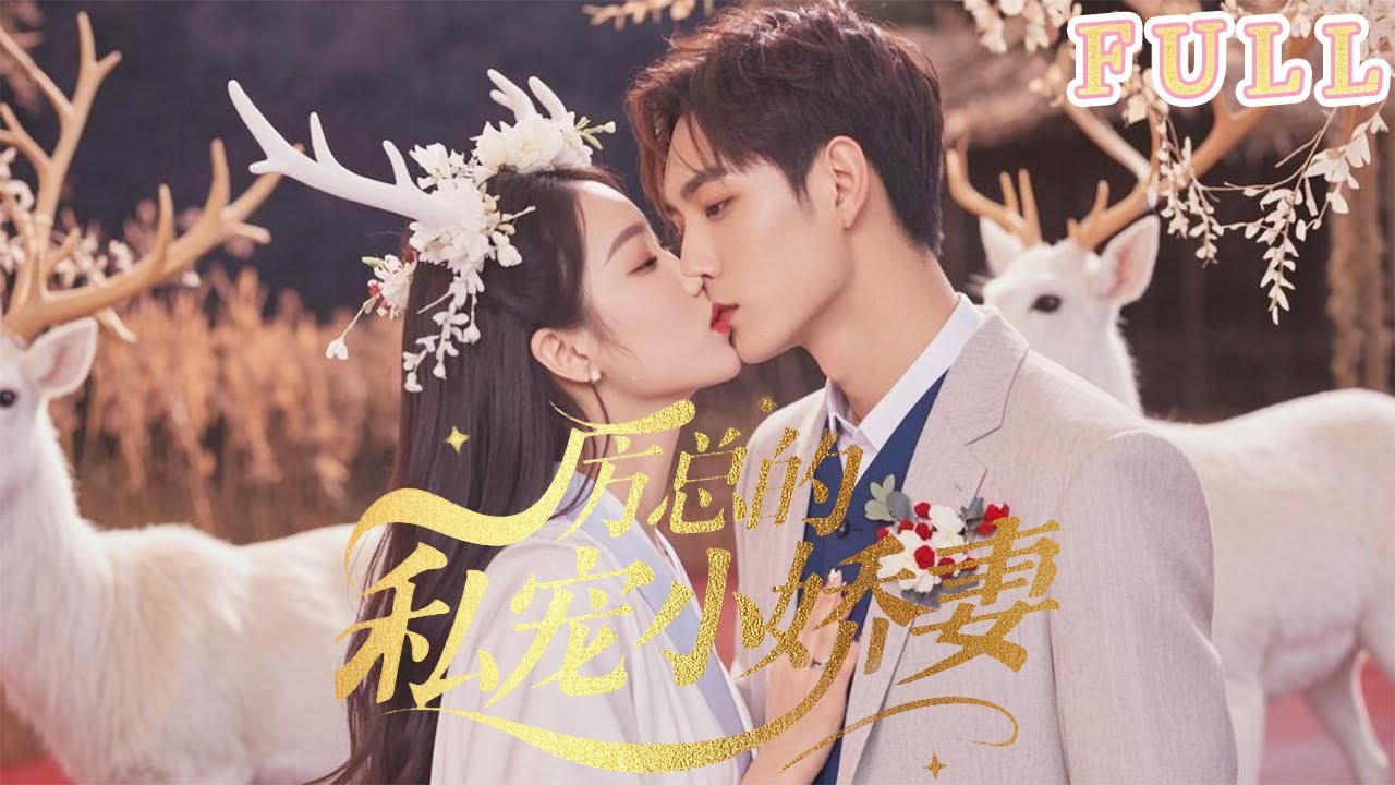 总裁与他的私宠娇妻：误会与甜蜜的爱情故事