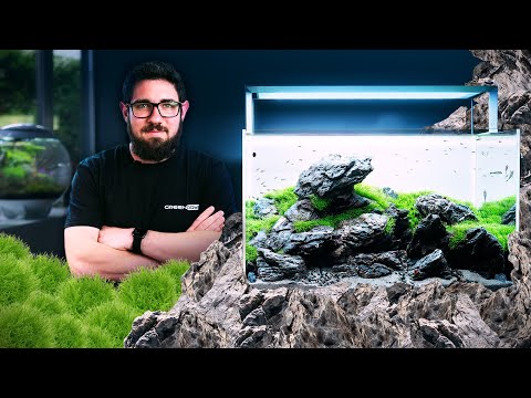 Video: Utricularia Informacije o bešiku - saveti o kontroli i njezi bešike