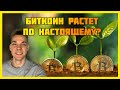 Биткоин рост не настоящий! Быки одумайтесь - рост фейк!