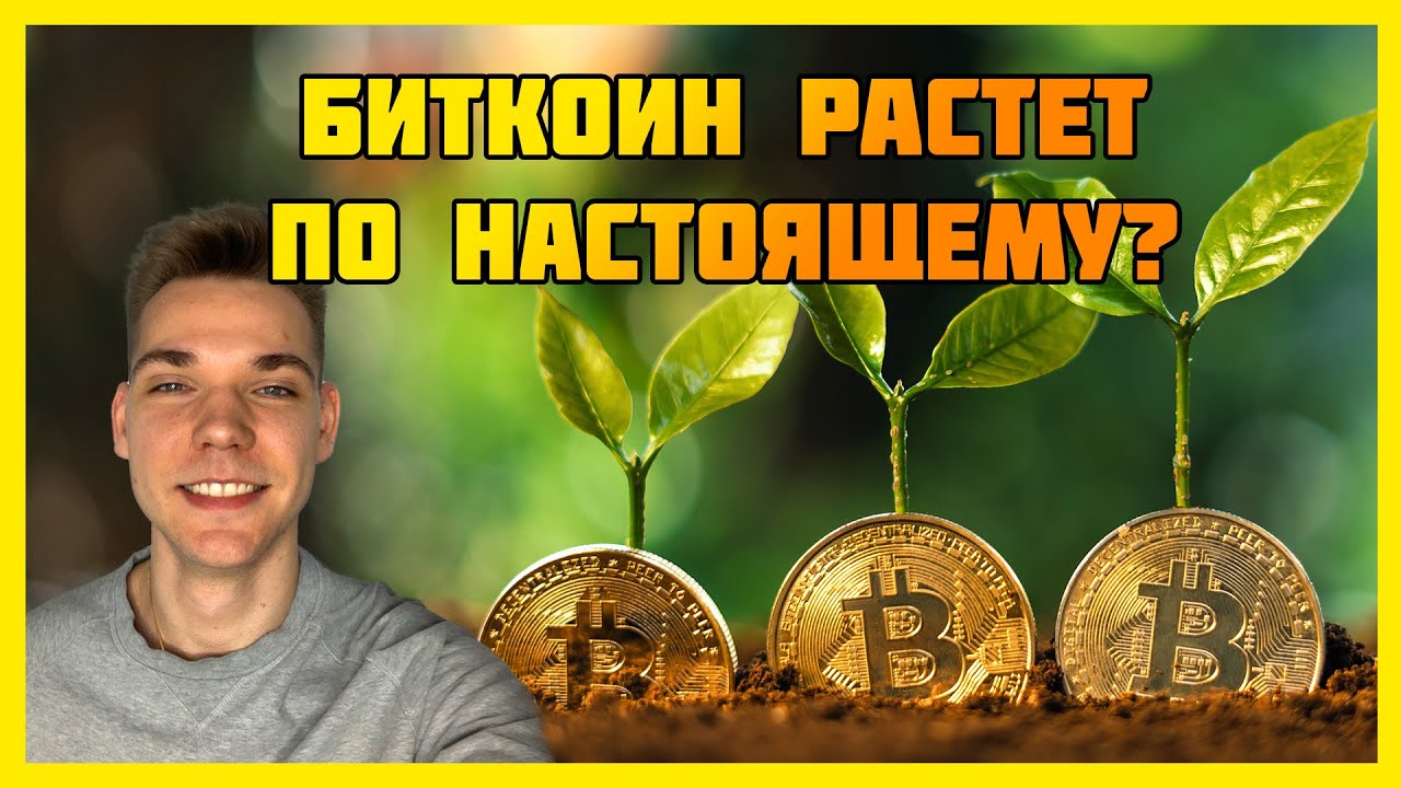 Биткоин рост не настоящий! Быки одумайтесь - рост фейк! - YouTube