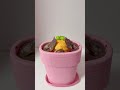 なにが生えてくるでしょう?海外のおもちゃだよ