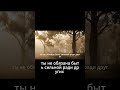 Смелость признать слабость  почему это ключ к.....