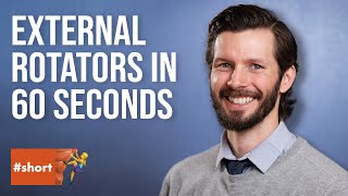 What Climbers Should Know About External Rotators #shorts