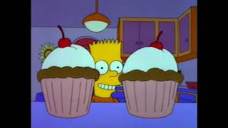 Is My Brother Dumber Than A Hamster?