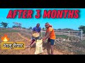 Papa and I together added the potatoes ourselves || After 3 months || Rj Mahato #potato