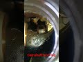 camshaft kaise kam karti hai