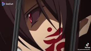 akame ga kill and fat zero anime amv