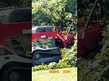 Land Transformation Begins | Forestry Mulching