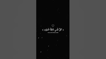 قرآن كريم بصوت القارئ عبد الرحمن مسعد#قرآن #عبدالرحمن_مسعد #صلوا_على_النبي