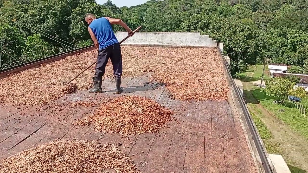 Fazenda Santa Barbara 