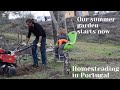 Our summer garden starts now - Prepping the soil - Building our off-grid homestead in Portugal