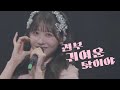 [가사/해석] 櫻井優衣(사쿠라이 유이) - ぜんぶ可愛いのせい(전부 귀여운 탓이야)