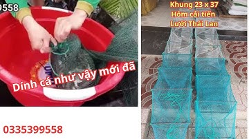 12 cửa ngục = lú thái lan hôm cải tiến khung 23 x37, Có cá là dính