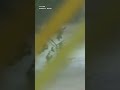 TEXAS FLOODING EMERGENCY WORSENS FAST