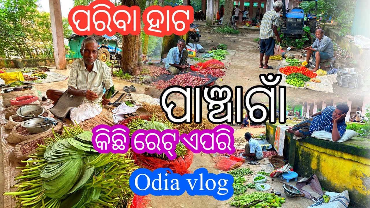 Panchagan pariba Hata Ret  odia vlog || gaon Hata || odisha village life, chalo odisha ￼