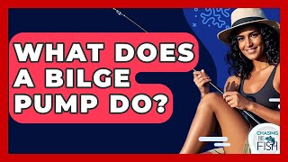 What Does A Bilge Pump Do? - Chasing Big Fish