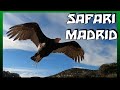 🇪🇦 SAFARI MADRID , rodeado de animales salvajes