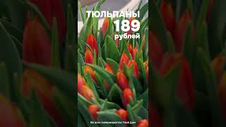 Букет тюльпанов за 189 рублей в Твой Дом