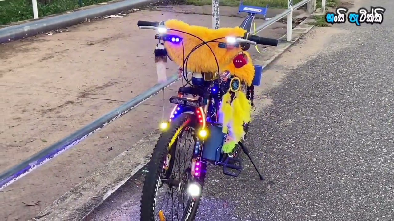 Modify bicycle හංසි පැටික්කි - බයිසිකල් කලාවේ හද ගැස්ම 💙✨️