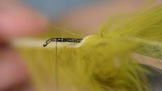 Så binder du en Pine Squirrel Streamer