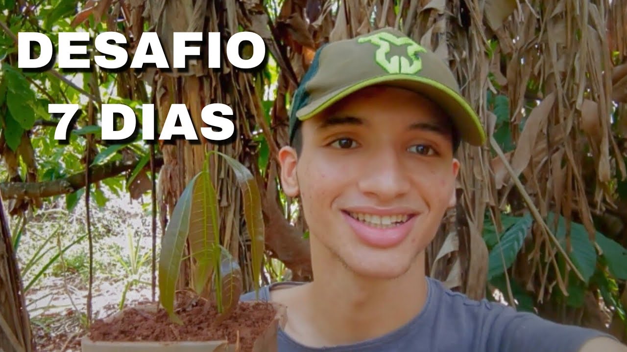 COMECEI minha HORTA do zero e do meu jeito, deu nisso 😅