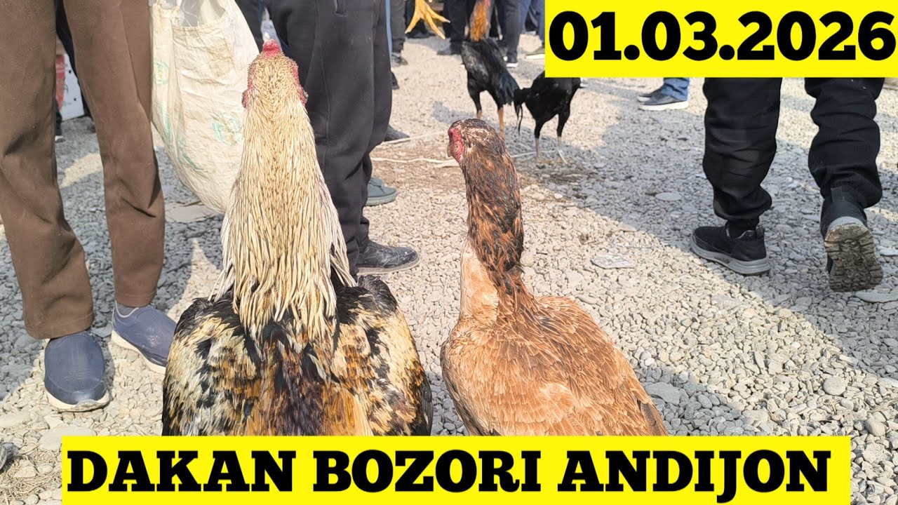 DAKAN BOZORI ANDIJON 01.03.2026