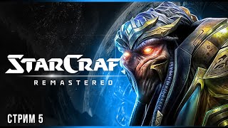 Око бури | StarCraft: Remastered | Стрим #5