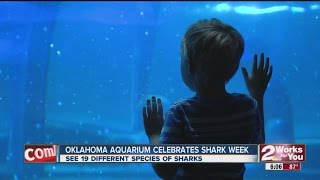 Jenks Aquarium Shark Week