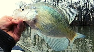 Late January Crappie fishing tips with jigs and bobbers by Fish Yanker 9,549 views 3 months ago 19 minutes