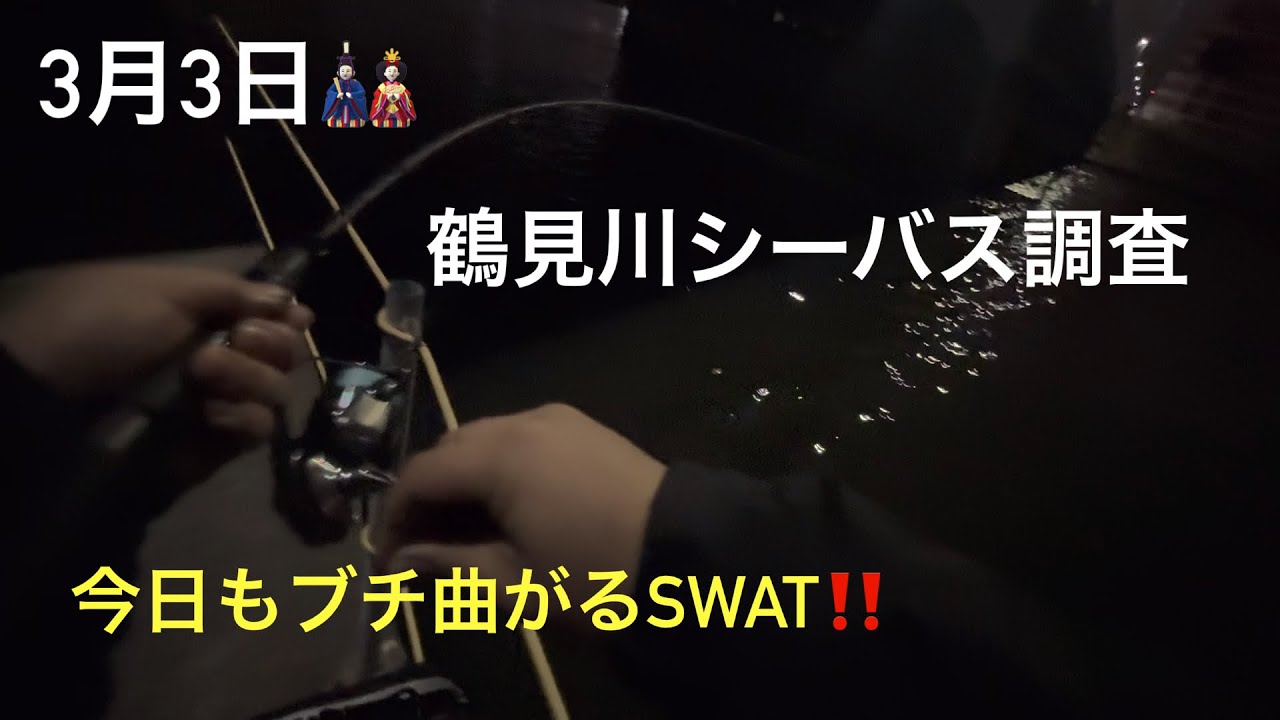 【チヌ】3月3日鶴見川シーバス調査！