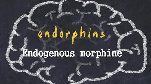 The Endorphin Information, history   : Endogenous Morphine,enkephalin,opioid