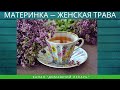 Женская трава душица - Домашний лекарь - выпуск №307